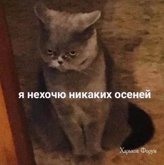 9f8ba9de128f1ac7bffca.webp