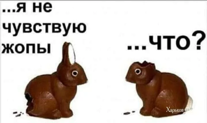 9f9304c4aeaae76f23f4.webp