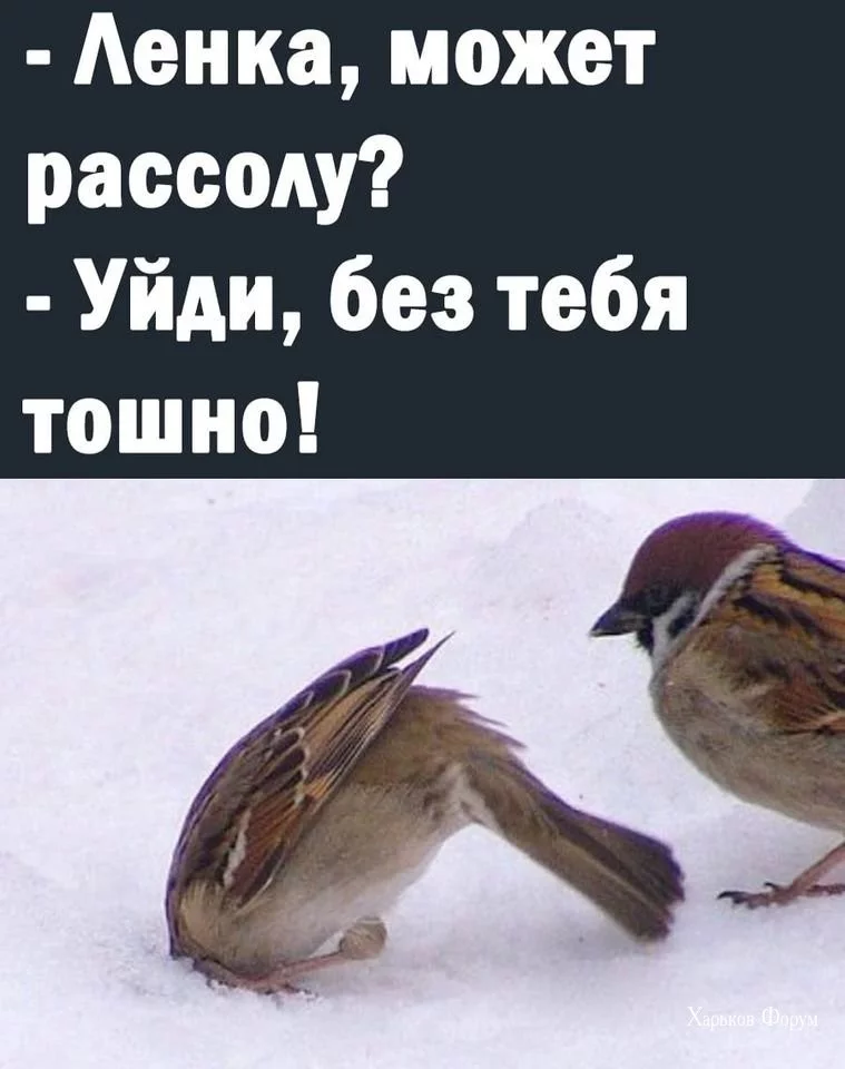 9fa858d3beac2abf5038.webp