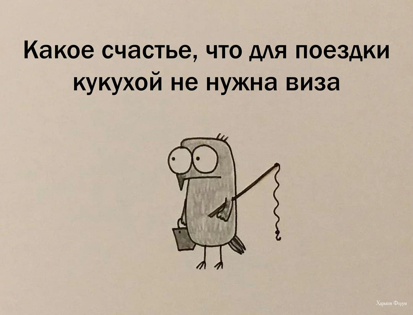 9faab33b6526392f6dbc.webp