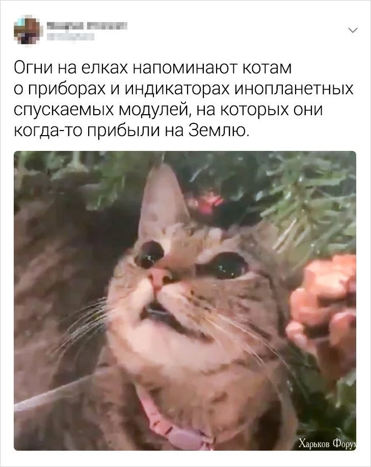 9fb80fd846f255147909.webp