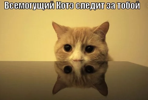 9fb887d331a1c41b281cb72218ce10b5.webp