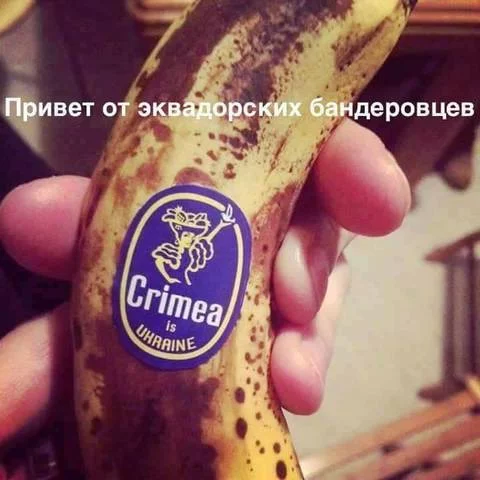 9fbbee.webp