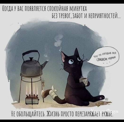 9fbe677bf1caeab68e.jpg