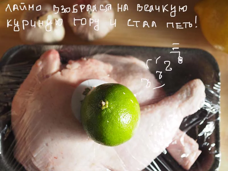 9fbegg.webp