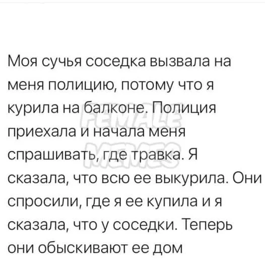 9fdfb8c9395953efcb3684.webp