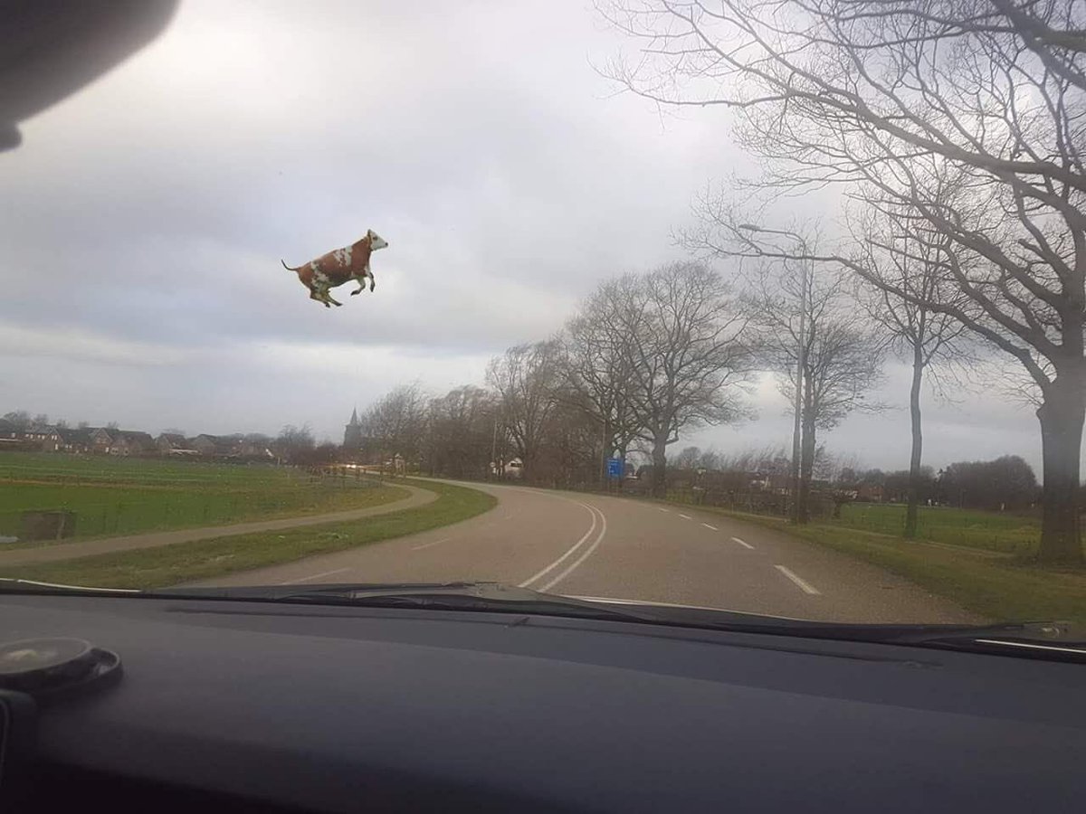 9fdffg.jpg