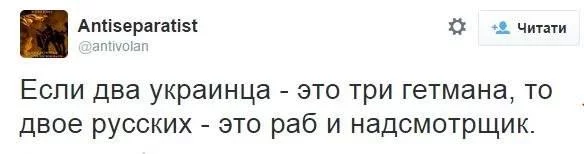 9FVgGDWswJY.webp