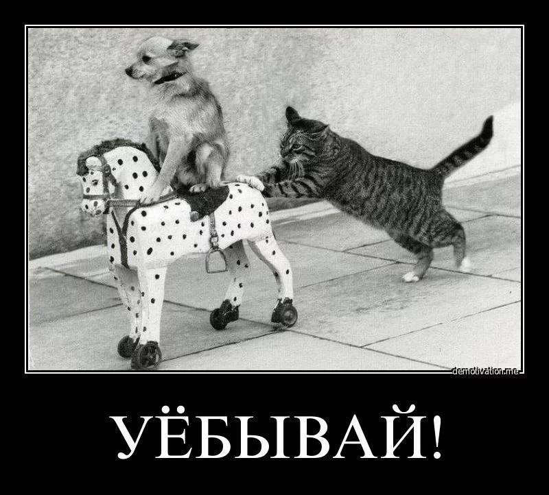 9gafbc.webp