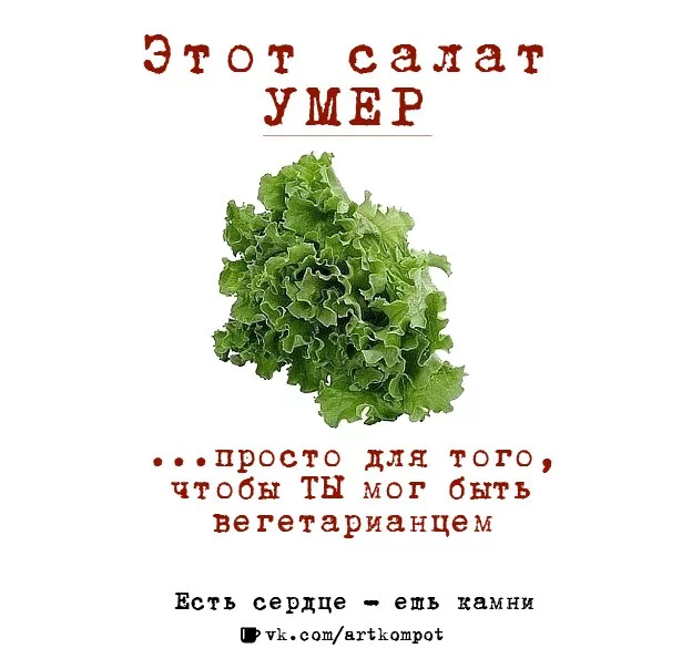 9gAYJi-XZnc.webp