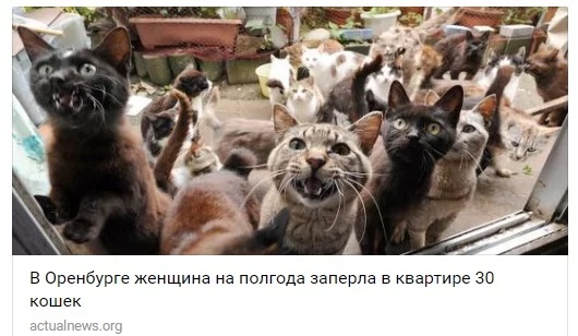 9ggbjd.webp