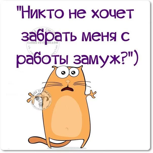 9hbded.webp