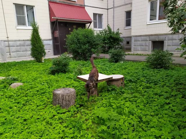 9hddaf.webp