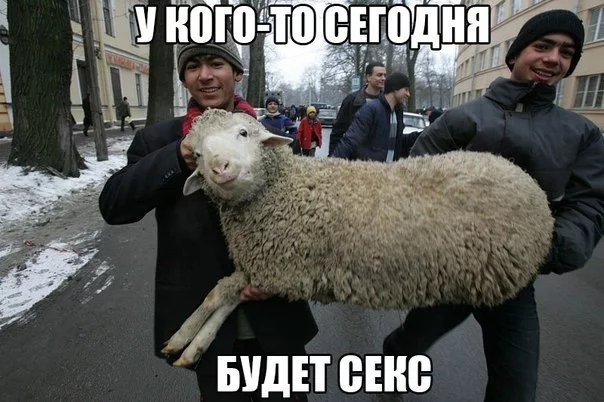 9hddfb.webp