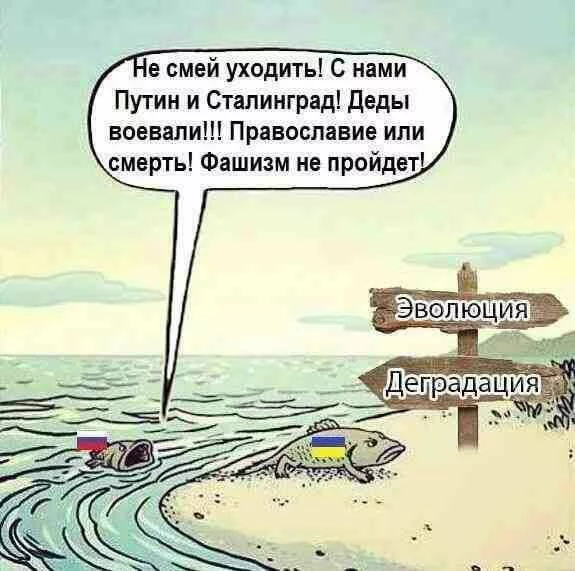 9hdgbb.webp