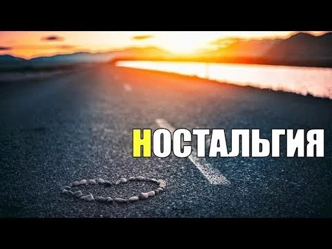 9hfdfa.webp