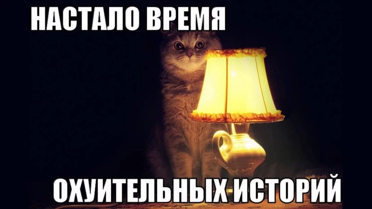 9hgcgh.webp