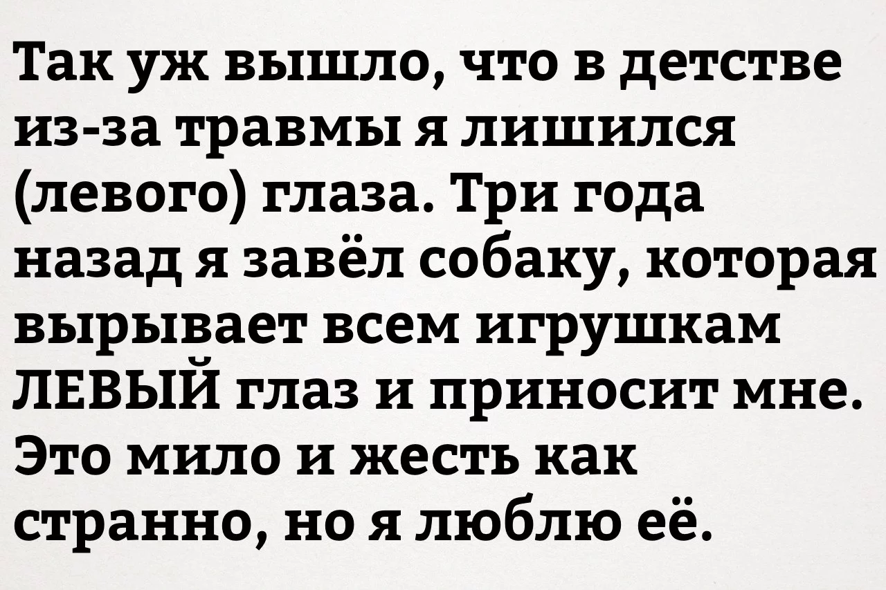 9hhada.webp