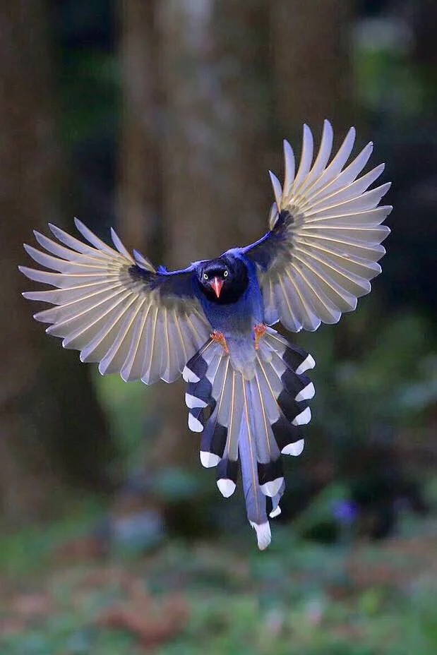 9jefbg.webp