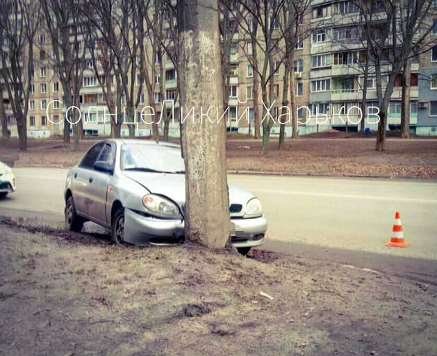 9jehdf.webp
