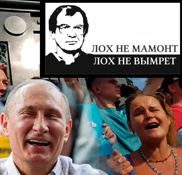 9jjhbc.webp