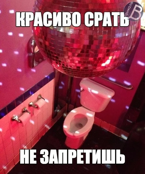 9KWMlnPyKMA.webp