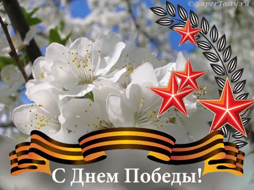 9may.webp