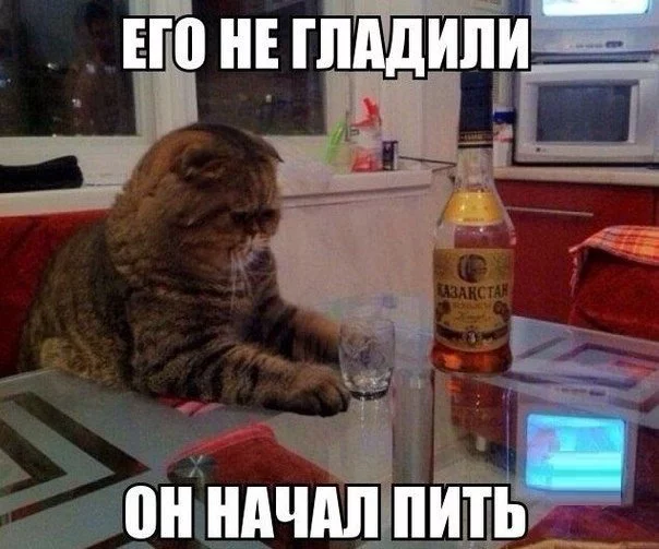 9NADCAkXjJM.webp