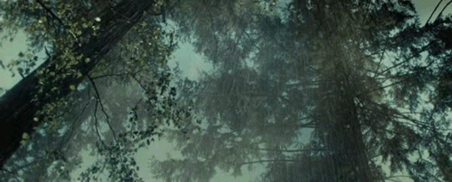 9Z0V.gif