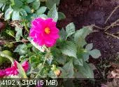 _00d91c70470c149a18c839642eefba16.webp