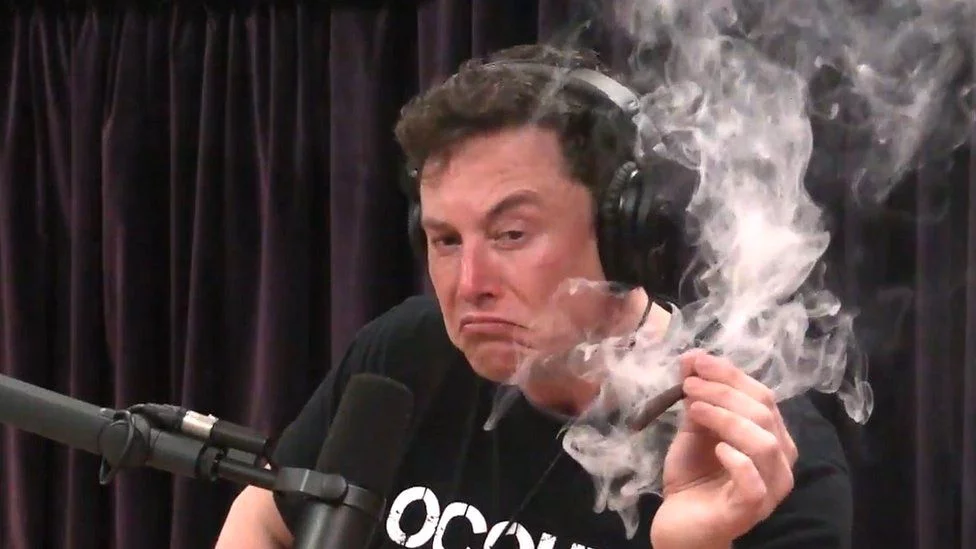 _103330503_musk3.webp
