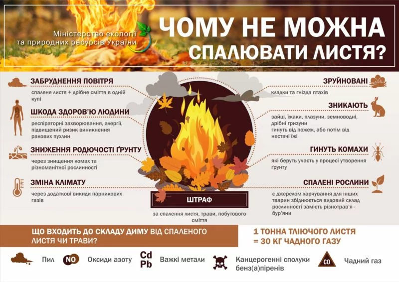 _103569476_5.webp