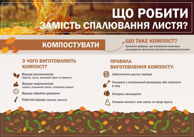 _103569477_6.webp