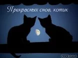 _2435.webp