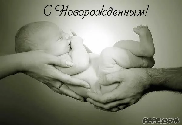 _2763.webp
