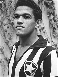_44366791_garrincha270.webp