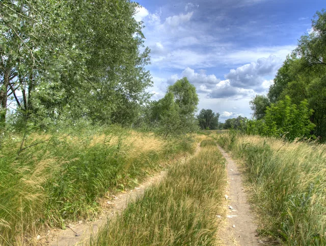 _6111824_5_6_tonemapped.webp