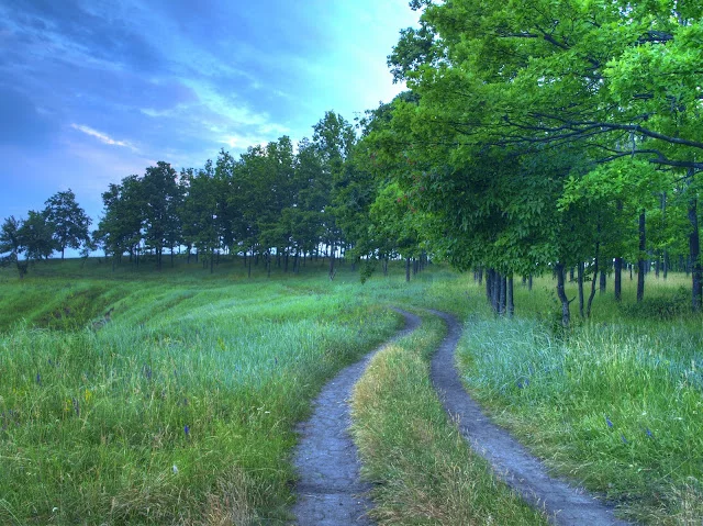 _6141960_1_2_3_6_tonemapped.webp