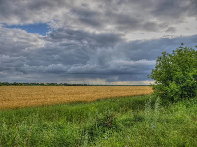 _6283033_4_5_tonemapped.webp