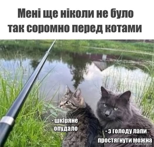 -_6DPFE1ZgqAXtKk&_nc_zt=23&_nc_ht=scontent.fdnk1-3.jpg