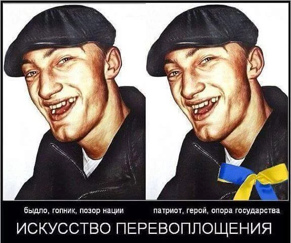 _703qlh8rh4.webp