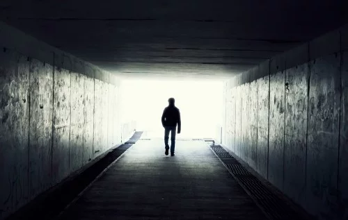 ____1303_500x317.webp