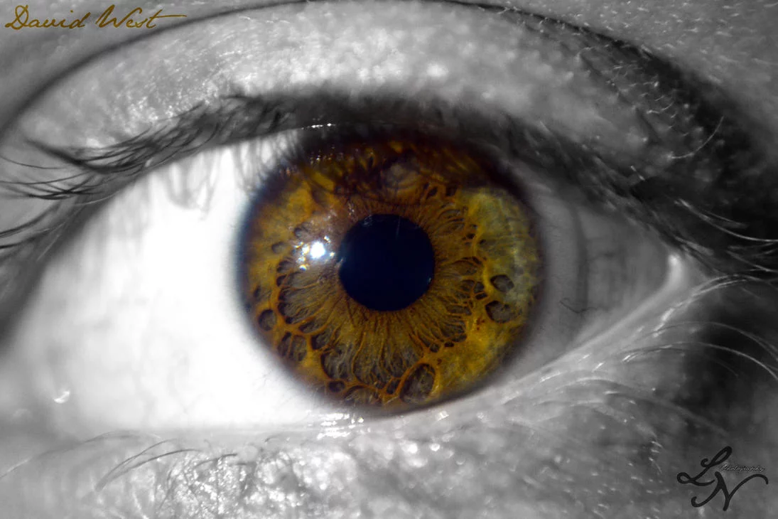 __tearing_apart__left_eye__by_shineedragon-d79c8p5.webp
