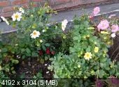 _a8500bff5faba723c95b76815da74af7.webp