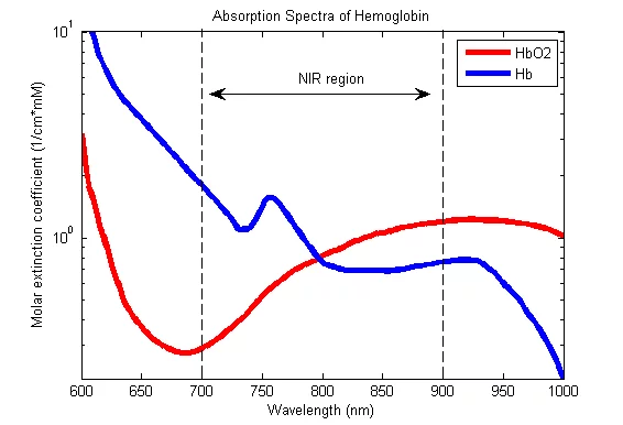 _Deoxy_Hemoglobin_Near-Infrared_absorption_spectra.webp