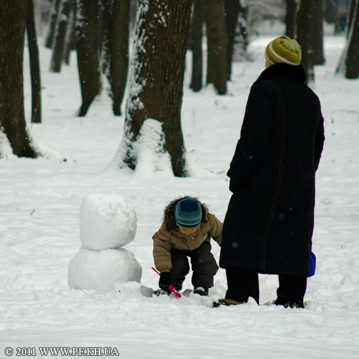 _DSC3436.webp