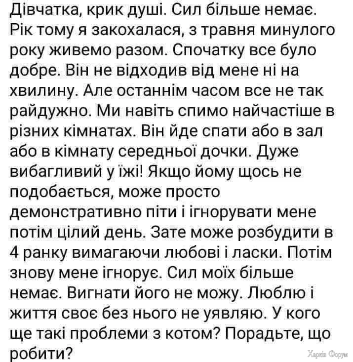 _душі.webp