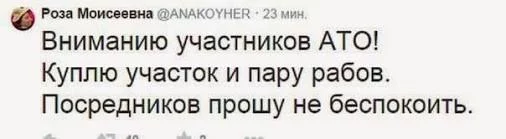 _GESlrBtpkU.webp