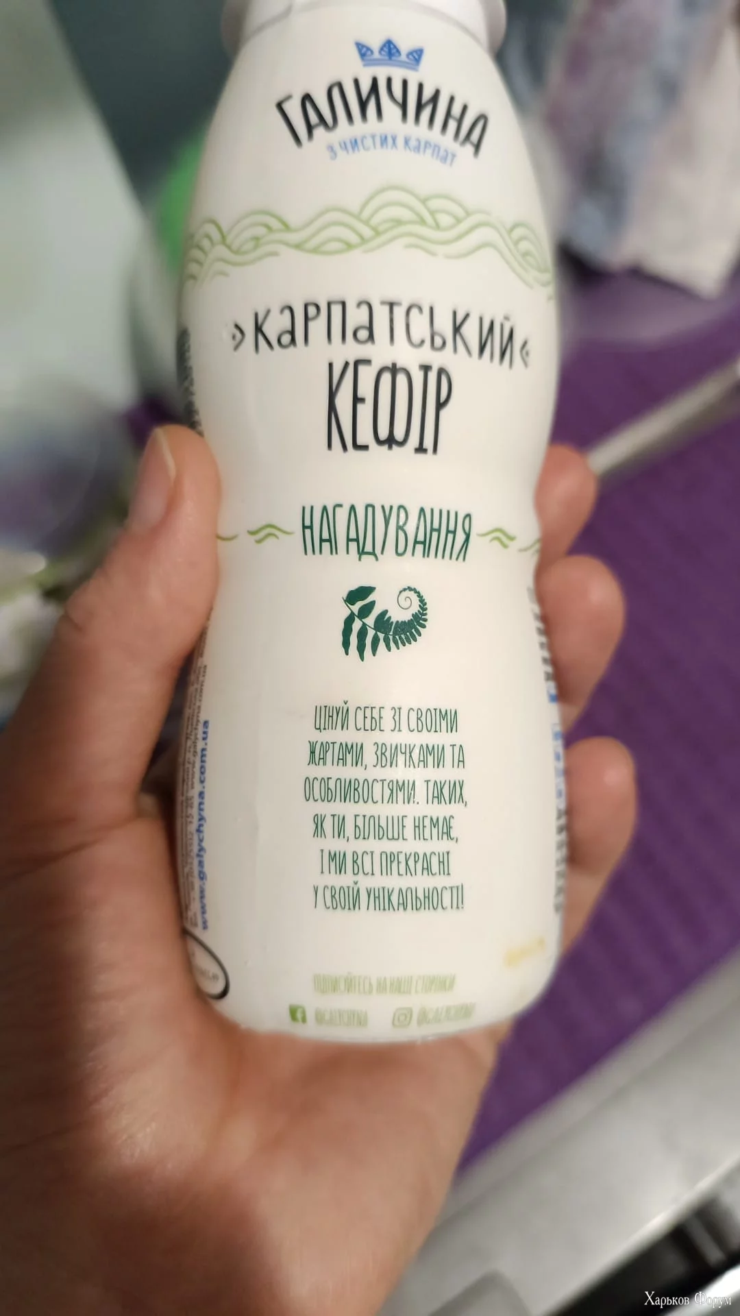 _галичина.webp