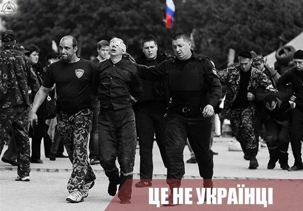 _MEobhZnr0Q.webp
